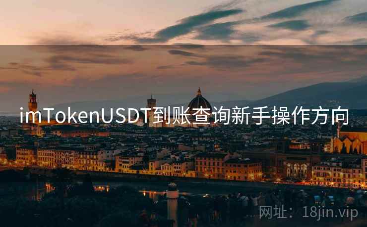 imTokenUSDT到账查询新手操作方向